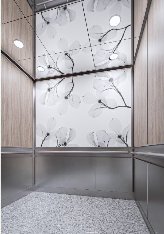 Mt. Vernon Elevator Modernization